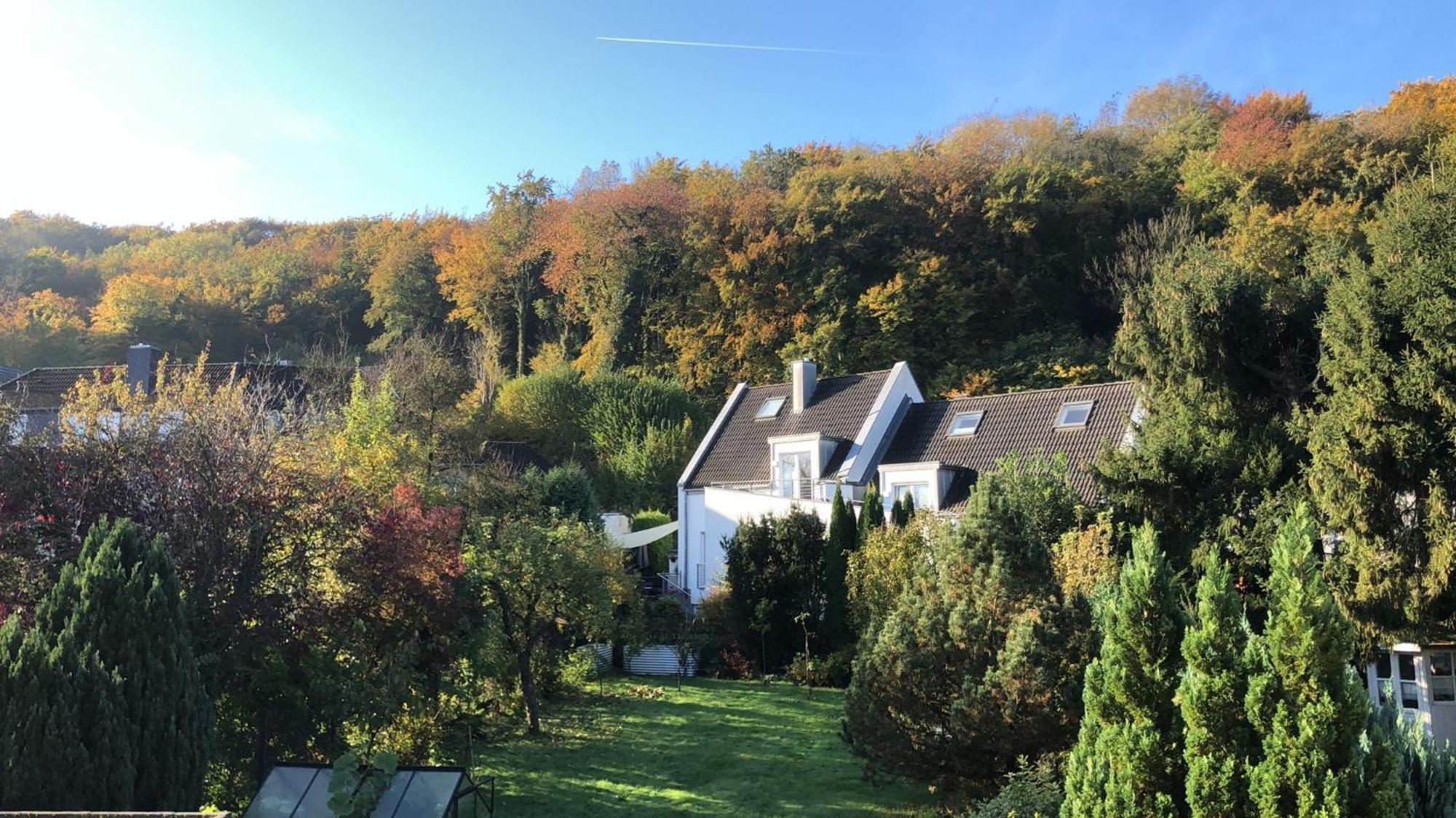 Ferienwohnung Am Schoelerberg Osnabrück Exteriör bild